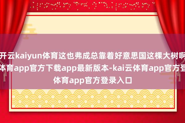 开云kaiyun体育这也弗成总靠着好意思国这棵大树啊-kai云体育app官方下载app最新版本-kai云体育app官方登录入口