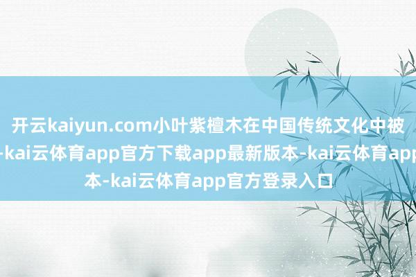 开云kaiyun.com小叶紫檀木在中国传统文化中被视为闲适之物-kai云体育app官方下载app最新版本-kai云体育app官方登录入口