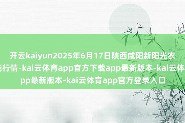开云kaiyun2025年6月17日陕西咸阳新阳光农副居品有限公司价钱行情-kai云体育app官方下载app最新版本-kai云体育app官方登录入口