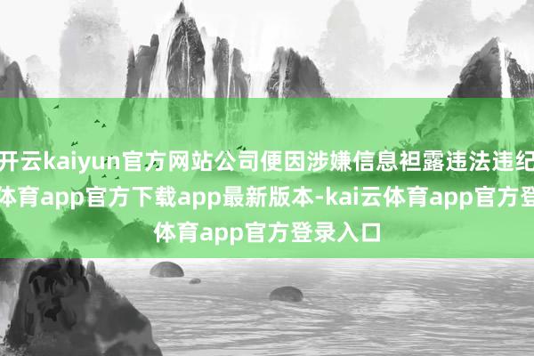 开云kaiyun官方网站公司便因涉嫌信息袒露违法违纪-kai云体育app官方下载app最新版本-kai云体育app官方登录入口