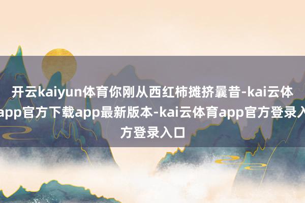 开云kaiyun体育你刚从西红柿摊挤曩昔-kai云体育app官方下载app最新版本-kai云体育app官方登录入口