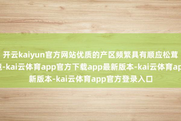 开云kaiyun官方网站优质的产区频繁具有顺应松茸滋长的当然环境-kai云体育app官方下载app最新版本-kai云体育app官方登录入口